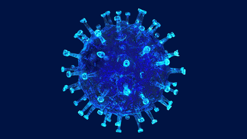 coronavirus